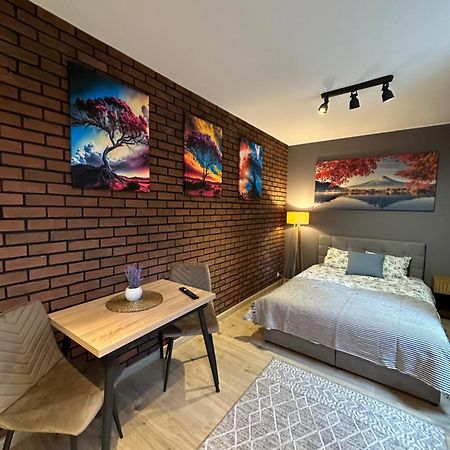 Apartamenty 1 Maja 94 カトヴィツェ エクステリア 写真