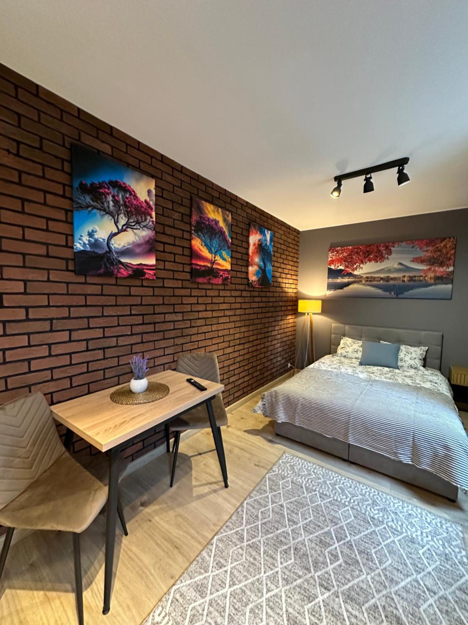 Apartamenty 1 Maja 94 カトヴィツェ エクステリア 写真